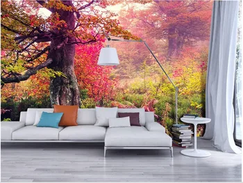 Namų Dekoro Klevo miško grožis HD Fotografinių vaizdų TV foną, freskos 3d tapetai