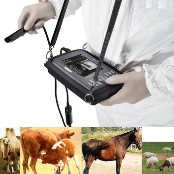 Profesinio mokymo ultragarso aparatas skeneris su pilvo zondas naminių gyvūnų veterinarijos spalva doplerio ultragarsinis tyrimas, profesinio rengimo ultragarso kaina